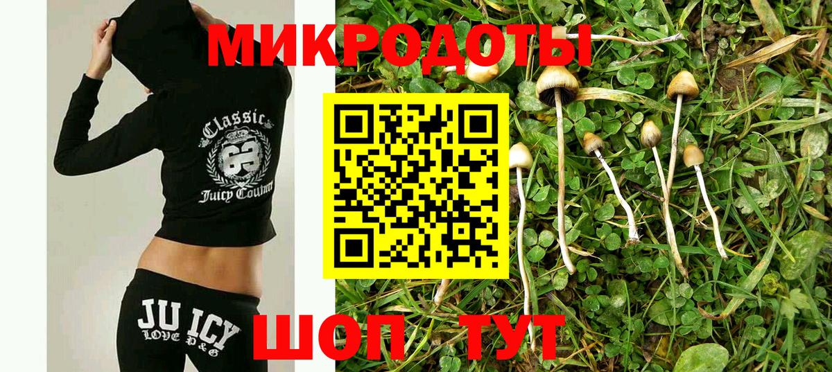 Псилоцибиновые грибы MAGIC MUSHROOMS  Вход с VPN  Псилоцибиновые грибы Psilocybe  Коломна 