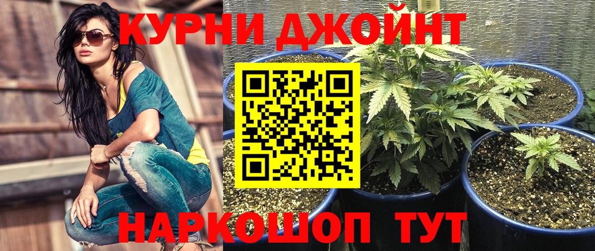 Конопля SATIVA & INDICA  Бошки марихуана Ganja  Вход с VPN  Бошки марихуана VHQ  Конопля ГИДРОПОН  Коломна 